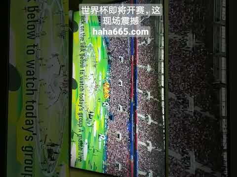 沃尔夫斯堡,主场,败北多特,开云365体育官网,KaiYun365,SPORTS,开云365体育中国官网,KaiYun365体育平台,开云365体育服务