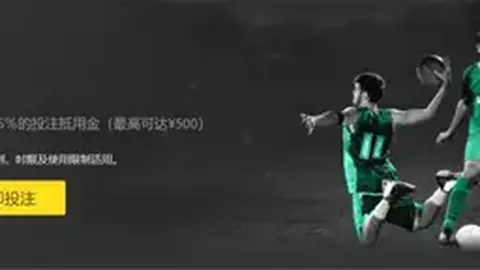 巴黎奥运羽毛球：何冰娇女单摘银，安赛龙男单卫冕成功